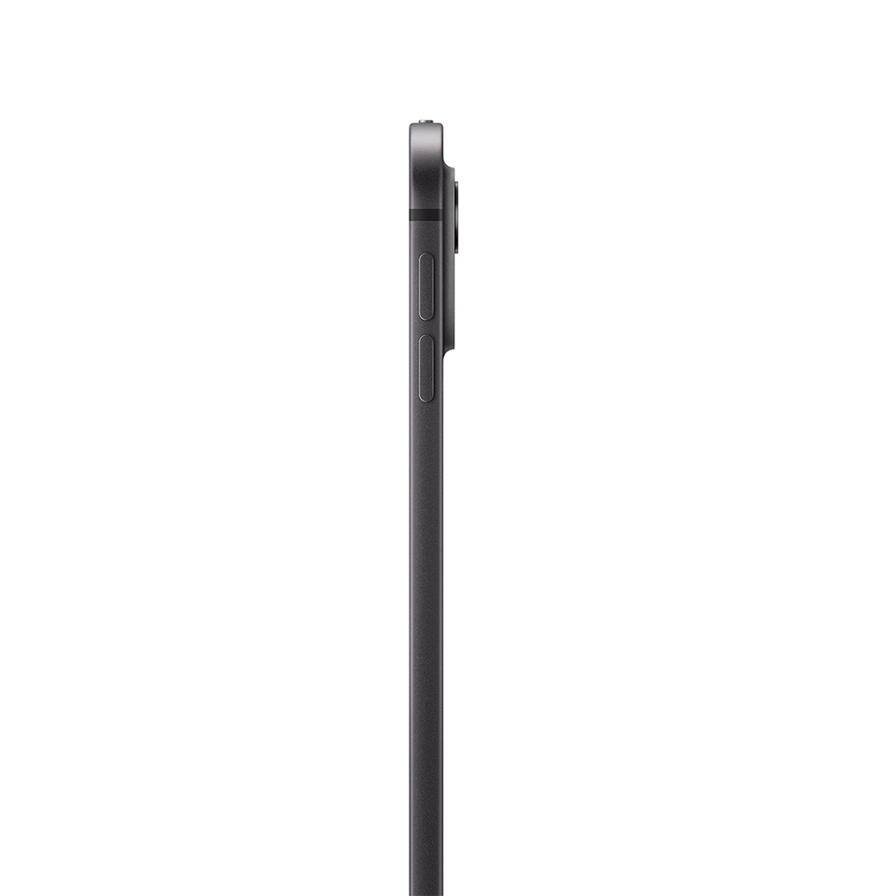 iPad Pro 13 Noir Sid 5