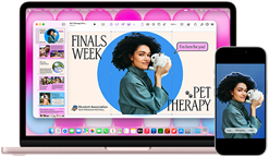 MacBook Neo, rose poudré, à côté d’un iPhone, l’écran du MacBook Neo affiche une présentation intitulée Finals Week Pet Therapy avec la photo d’une personne tenant un lapin, l’écran de l’iPhone affiche la même photo, qui a été transformée en autocollant à utiliser dans la présentation