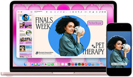 MacBook Neo, rose poudré, à côté d’un iPhone, l’écran du MacBook Neo affiche une présentation intitulée Finals Week Pet Therapy avec la photo d’une personne tenant un lapin, l’écran de l’iPhone affiche la même photo, qui a été transformée en autocollant à utiliser dans la présentation