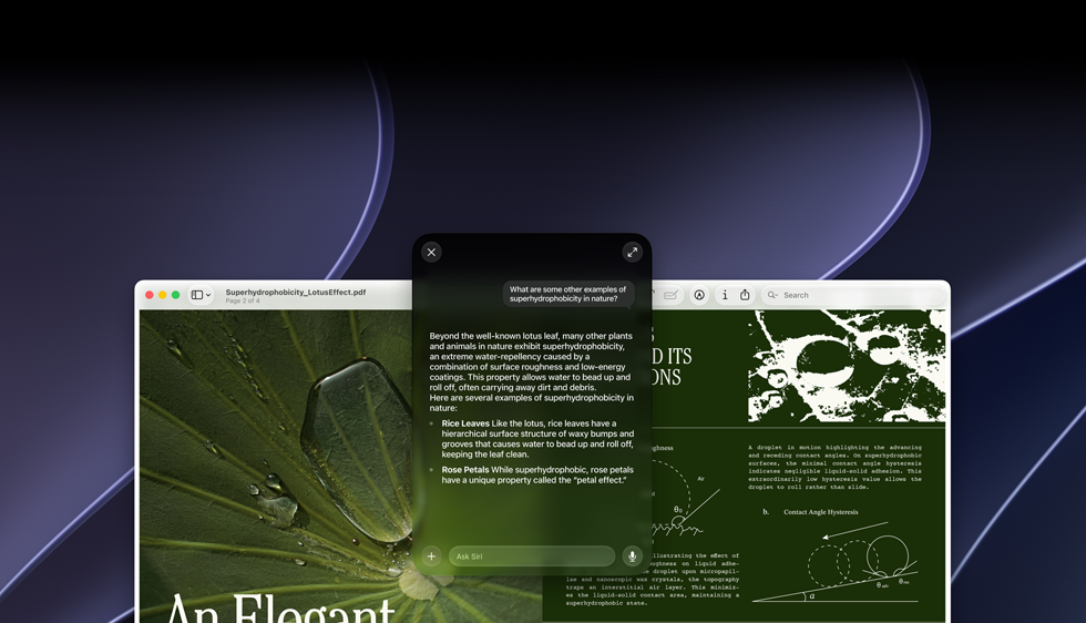 Démonstration de Siri et de l’Intelligence visuelle, requête de la personne sur un sujet figurant dans un PDF affiché sur un Mac, D’autres exemples de superhydrophobie dans la nature ?, réponse de Siri