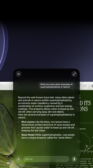 Démonstration de Siri et de l’Intelligence visuelle, requête de la personne sur un sujet figurant dans un PDF affiché sur un Mac, D’autres exemples de superhydrophobie dans la nature ?, réponse de Siri