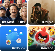Vignettes Apple One : Apple TV, Apple Music, iCloud+ et Apple Arcade